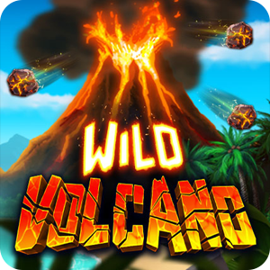 WILD VOLCANO